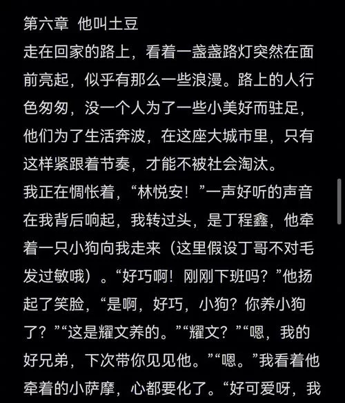 少年阿宾小说安卓汉化资源 手机阅读无删减版
