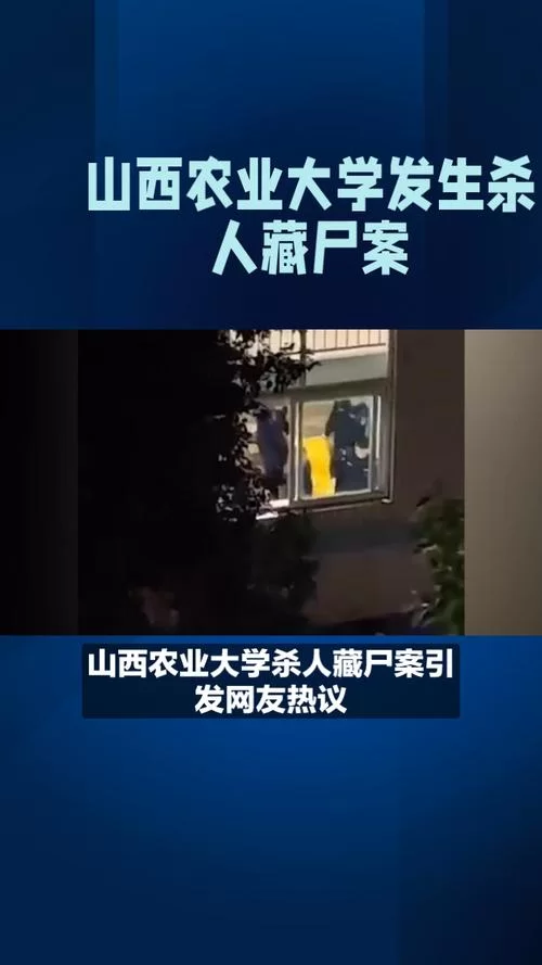 屍最新动态揭秘网友热议的背后真相