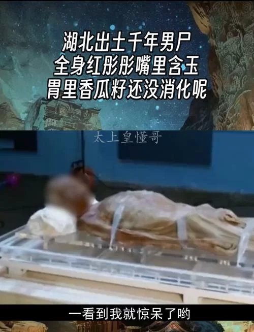 屍最新动态揭秘网友热议的背后真相