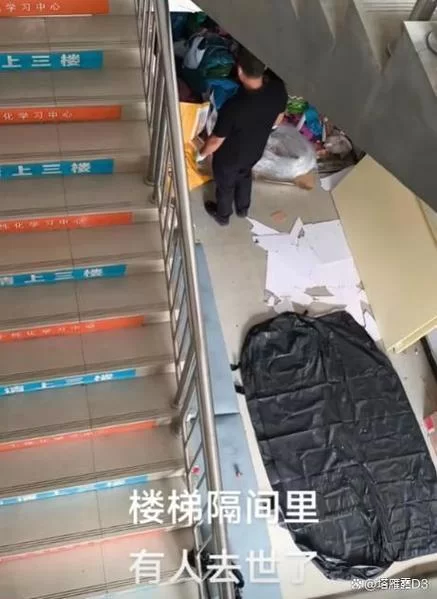 屍最新动态揭秘网友热议的背后真相