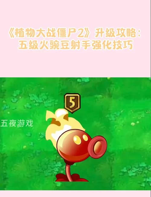 屍杨过游戏攻略大全 新手必看技巧分享