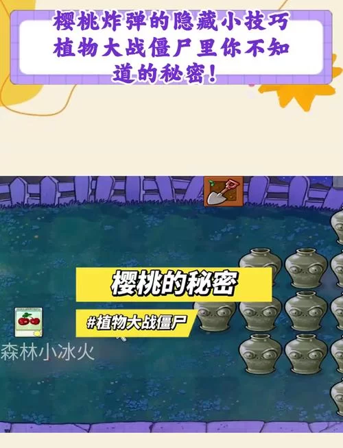 屍杨过游戏攻略大全 新手必看技巧分享