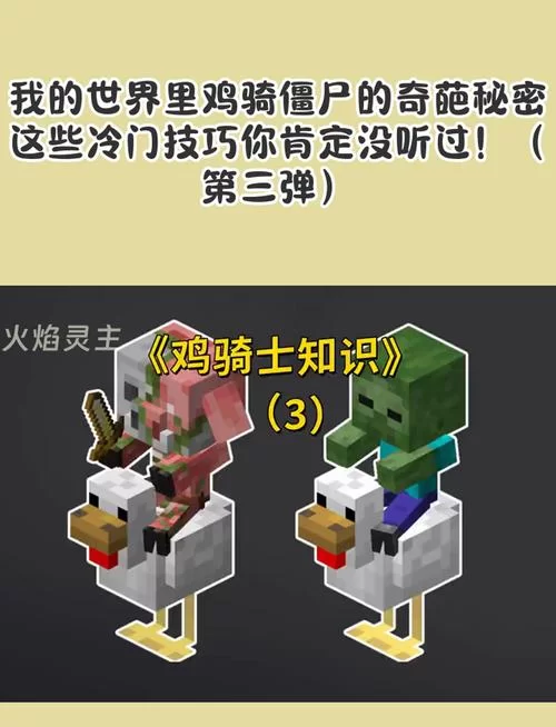 屍杨过游戏攻略大全 新手必看技巧分享