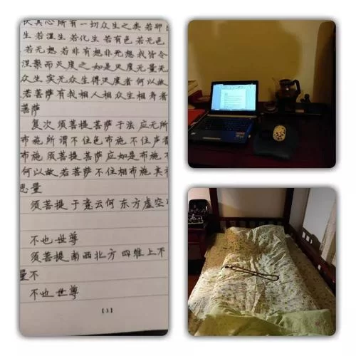 岛主日记下载地址怎么找 三步轻松搞定