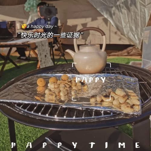 岛主日记汉化版最新更新内容盘点 这些细节别错过 岛主日记汉化版最新更新内容盘点 这些细节别错过