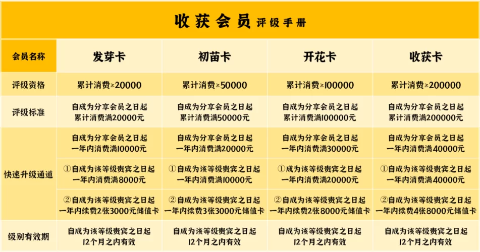 岳母官网会员福利 独家优惠与专属服务一览