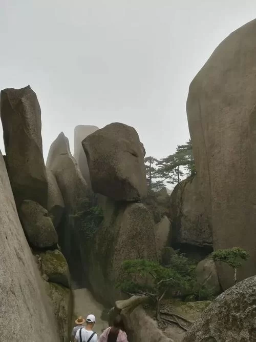 峰回路转官方正式版下载最新版 轻松安装畅玩无忧