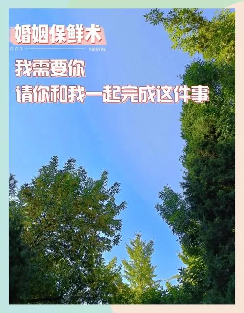 崇拜的婚姻游戏介绍 解锁隐藏剧情与奖励