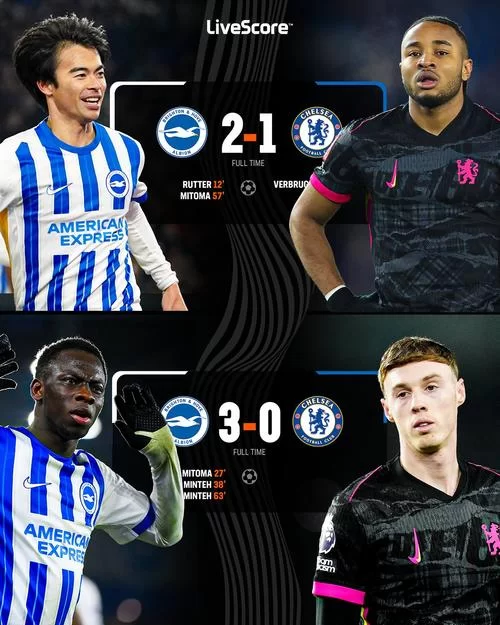 布莱顿市帝国官网最新资讯一网打尽