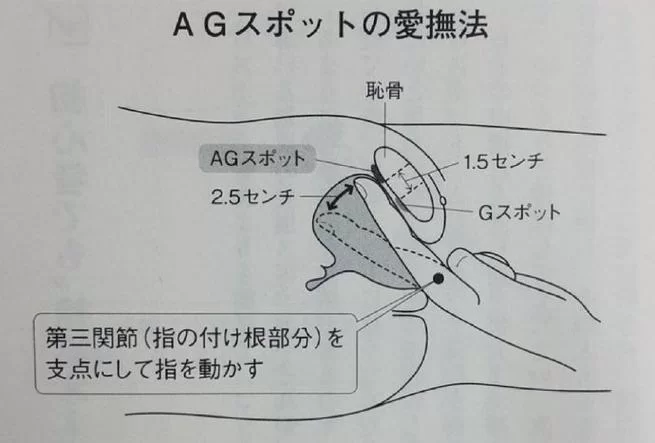 帮助辣妹绅士游戏怎么玩快速上手技巧分享 帮助辣妹绅士游戏怎么玩快速上手技巧分享