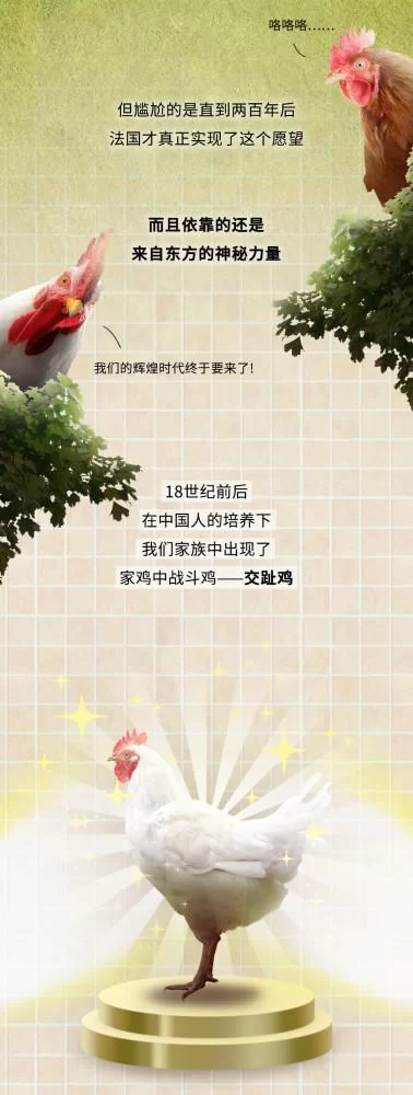 征服愿望安卓汉化版评测 中文体验究竟如何