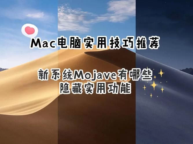 心灵结社最新版本使用技巧教你玩转新功能
