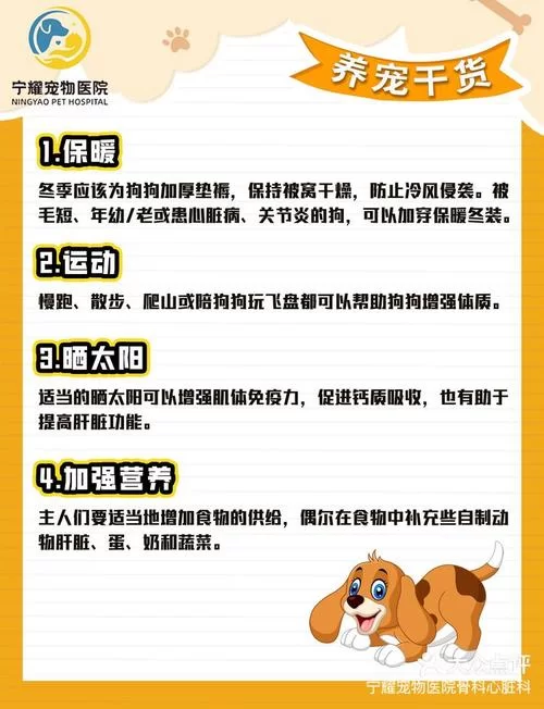 心脏问题游戏攻略大全新手必看通关技巧