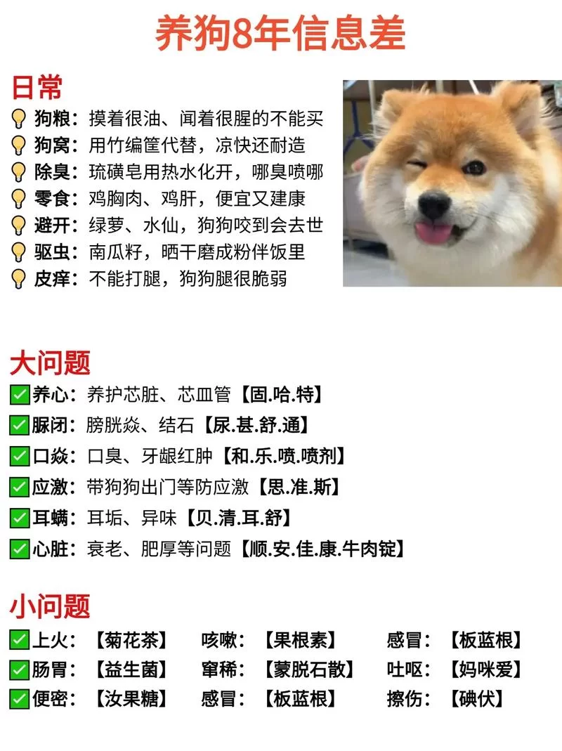 心脏问题游戏攻略大全新手必看通关技巧