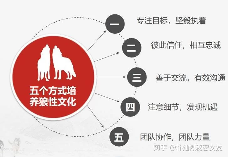 忠诚的一课最新案例 看看成功人士怎么做 忠诚的一课最新案例 看看成功人士怎么做