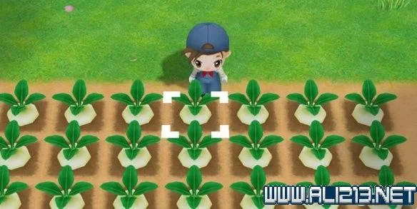 快捷爱情酒店物语安卓怎么玩 新手入门指南分享 快捷爱情酒店物语安卓怎么玩 新手入门指南分享