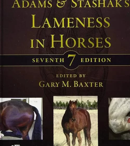 恶魔根源V1.35最新版本更新内容全面解析