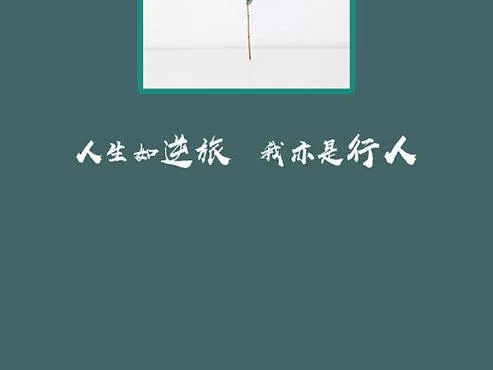 想玩命轮逆旅却不会下载 看完这篇就会了