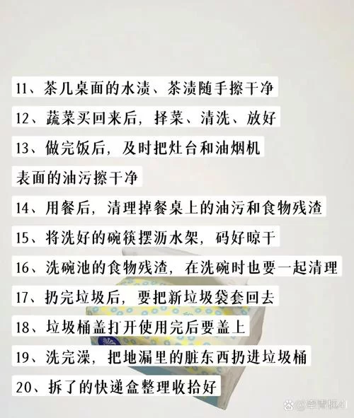 想知道家务最新版本是多少 这里有详细解答