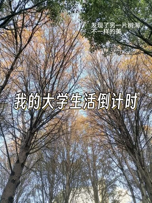 想知道我的大学生活最新版本是多少 看这里