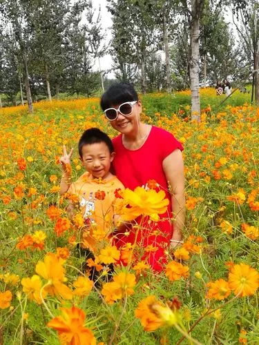 愉快的生活更新地址最新变动速来了解