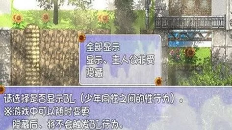 我暑假的秘密回忆电脑版下载 快速安装指南