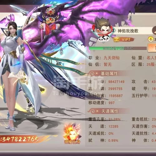 我的宾博梦安卓版本更新内容与特色功能解析