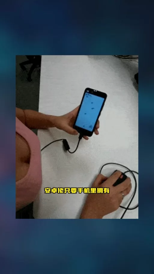 我的宾博梦安卓版本更新内容与特色功能解析