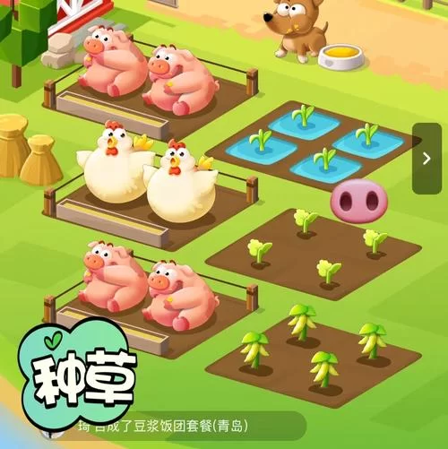 我的播种农场官网最新种植技巧大公开