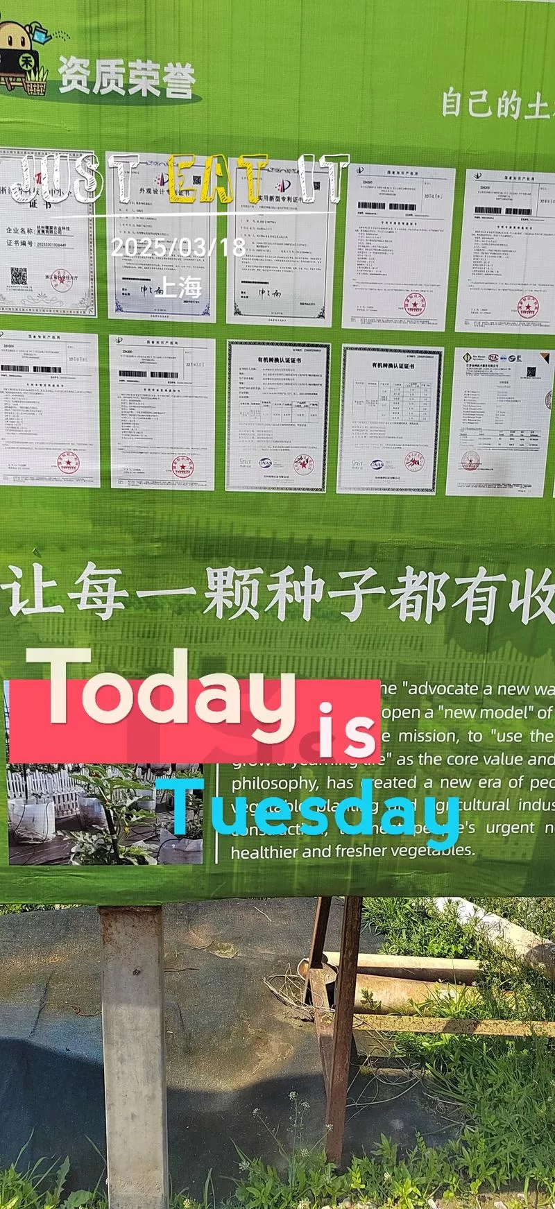 我的播种农场官网最新种植技巧大公开 我的播种农场官网最新种植技巧大公开