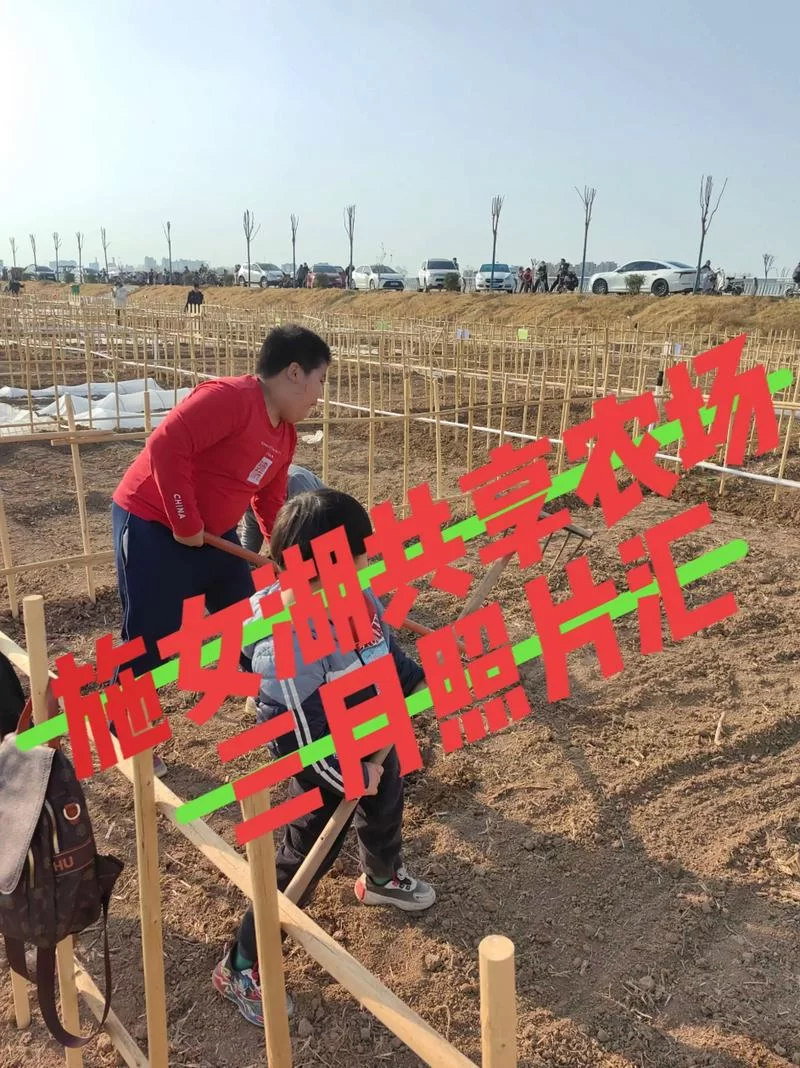 我的播种农场最新技巧大全 让你种田更高效