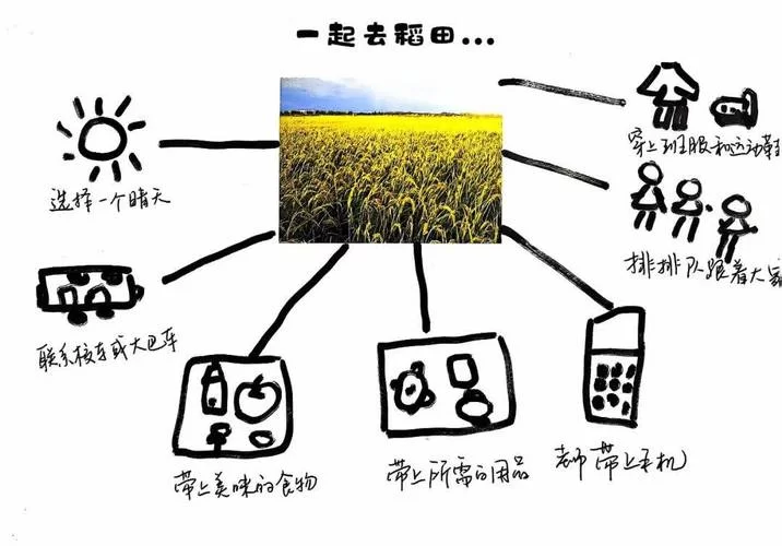 我的播种农场最新技巧大全 让你种田更高效