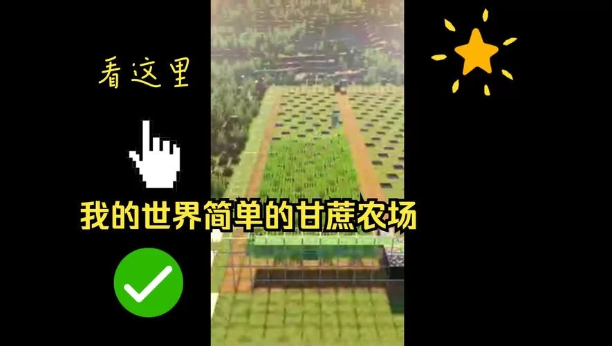 我的播种农场最新技巧大全 让你种田更高效