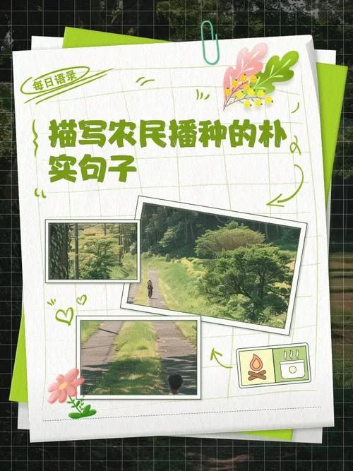 我的播种农场最新技巧大全 让你种田更高效