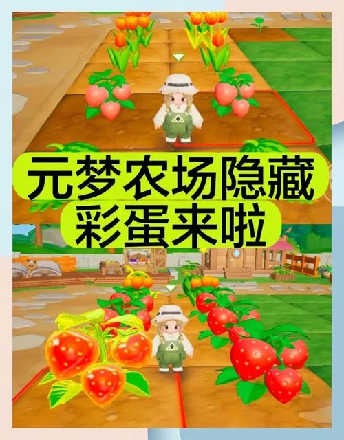 我的播种农场游戏介绍 如何快速升级农场 我的播种农场游戏介绍 如何快速升级农场