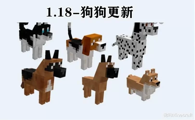 我的新生活汉化版最新更新内容详解 带你玩转新版本