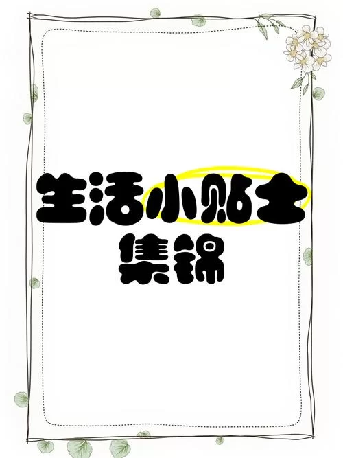 我的都市生活官方网站都市达人必备的生活小贴士