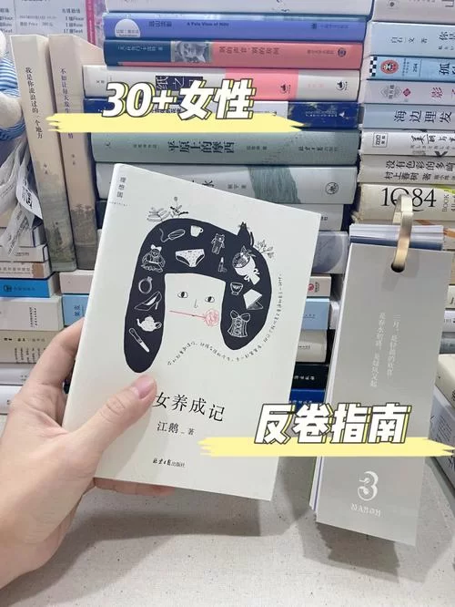 房东养成记汉化版最新更新内容盘点 玩家必看指南