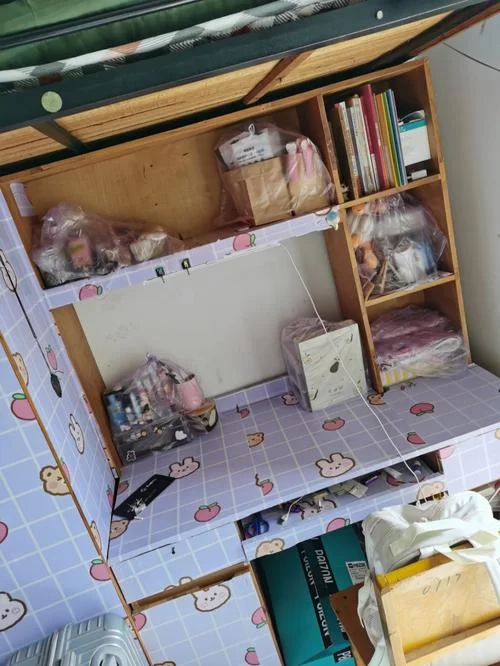 扶她女孩宿舍改造计划最新进展曝光