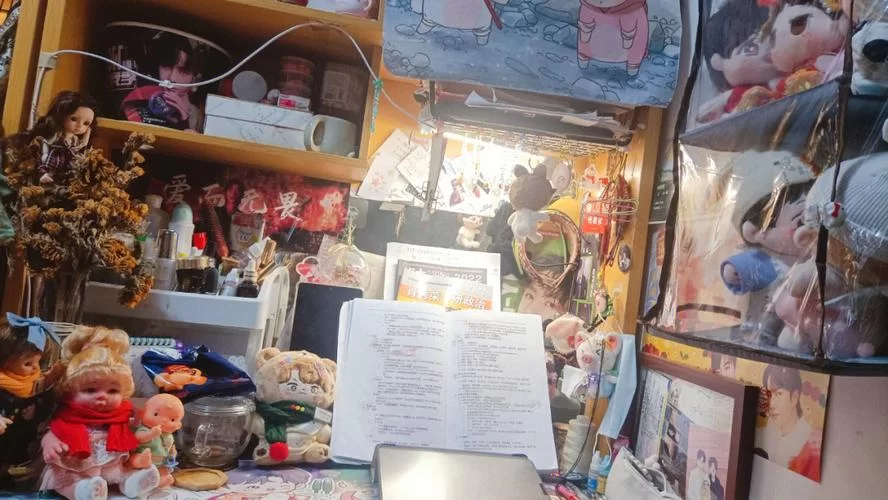 扶她女孩宿舍改造计划最新进展曝光