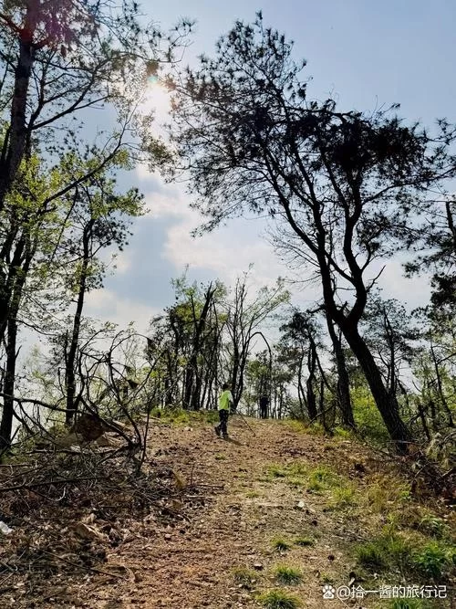 拯救世界的是善还是恶游戏攻略全解析 新手必看指南