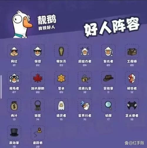 捕获未知生物版本大全新手入门指南与教程