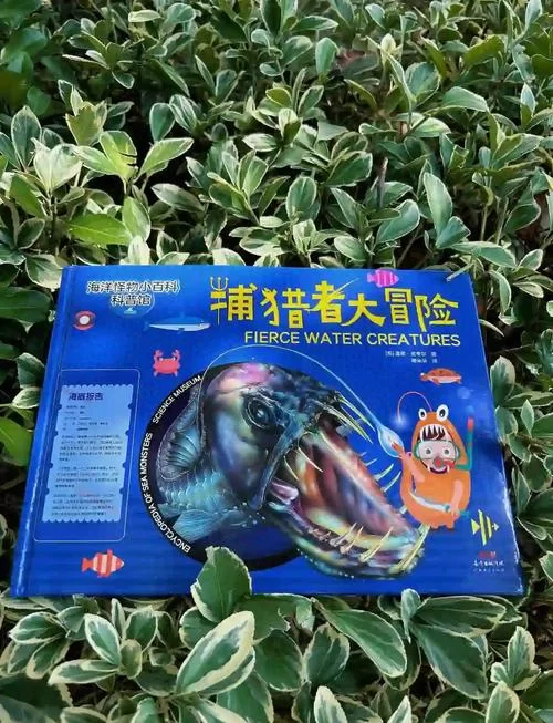 捕获未知生物版本大全新手入门指南与教程