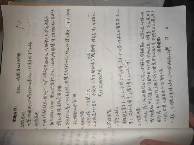 掌握催眠让全体女生在不知情下怀孕最新实验报告 掌握催眠让全体女生在不知情下怀孕最新实验报告