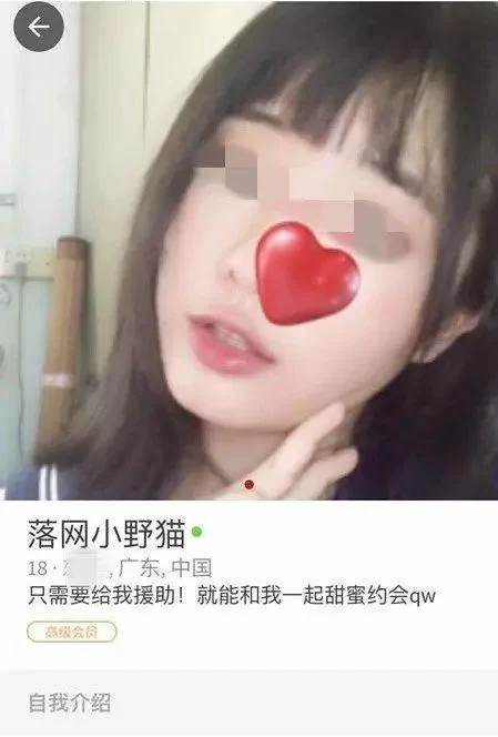 援交幻想在哪下载 手机电脑版下载指南