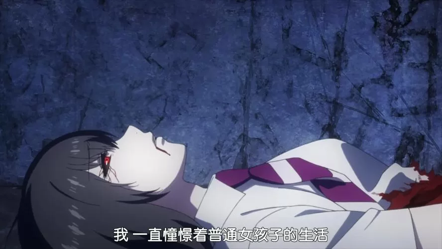 搜查官丽花在哪下载 安卓苹果双端安装教程