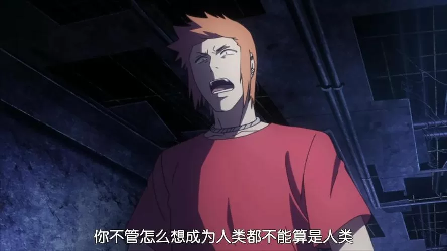 搜查官丽花最新剧情解读 角色设定全解析