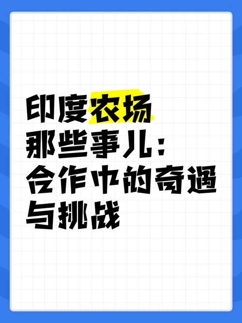 播种都市官网最新活动 限时优惠不容错过