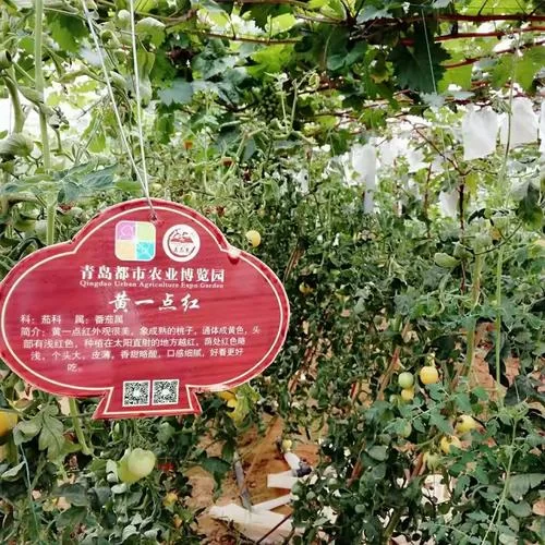 播种都市官网最新活动 限时优惠不容错过