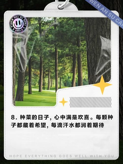 播种都市最新版本攻略 快速上手技巧分享